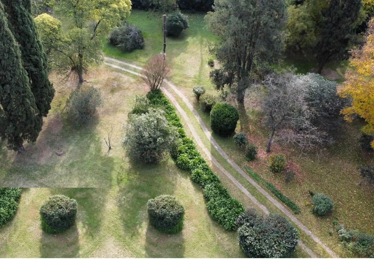 El parque