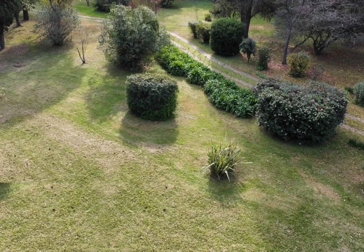 Foto del campo
