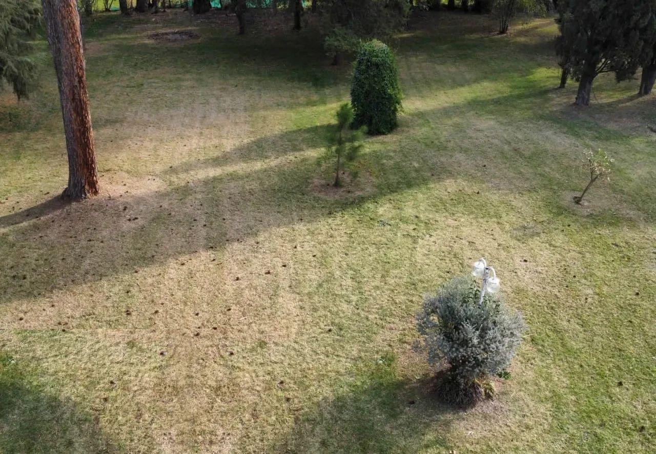 Foto del campo