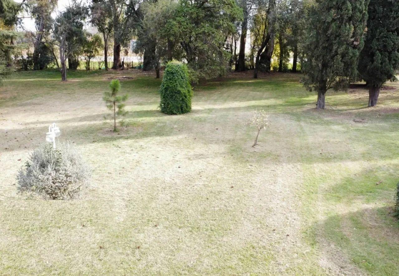 Foto del campo