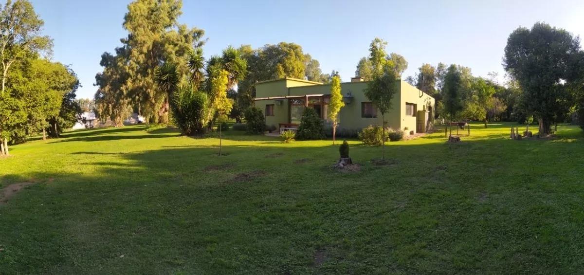 Foto del campo