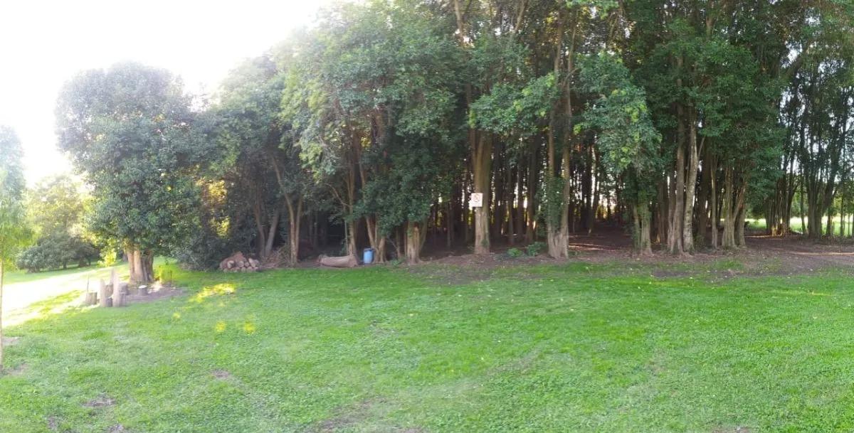 Foto del campo