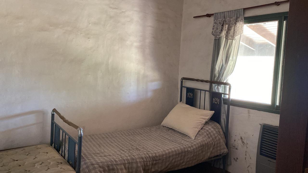 Foto del campo