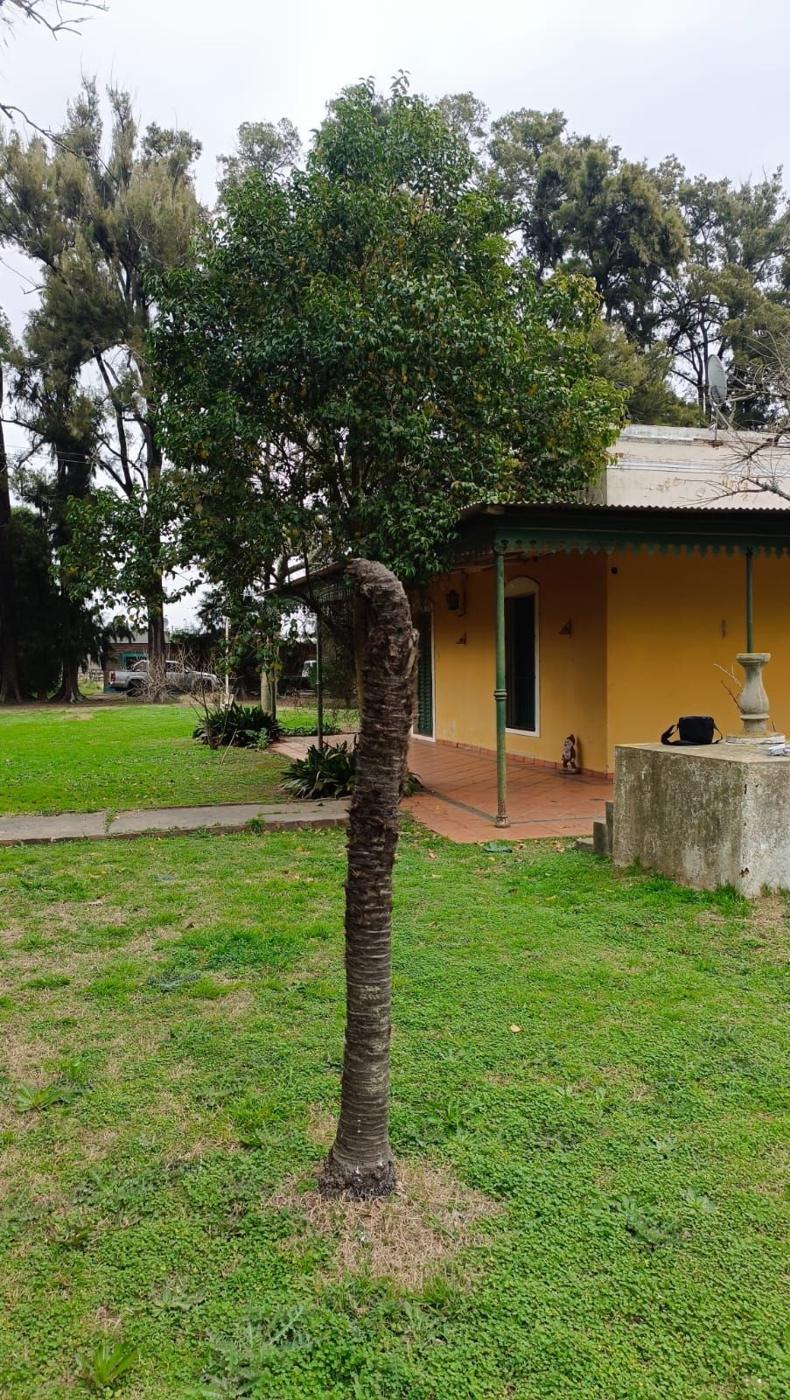 Foto del campo