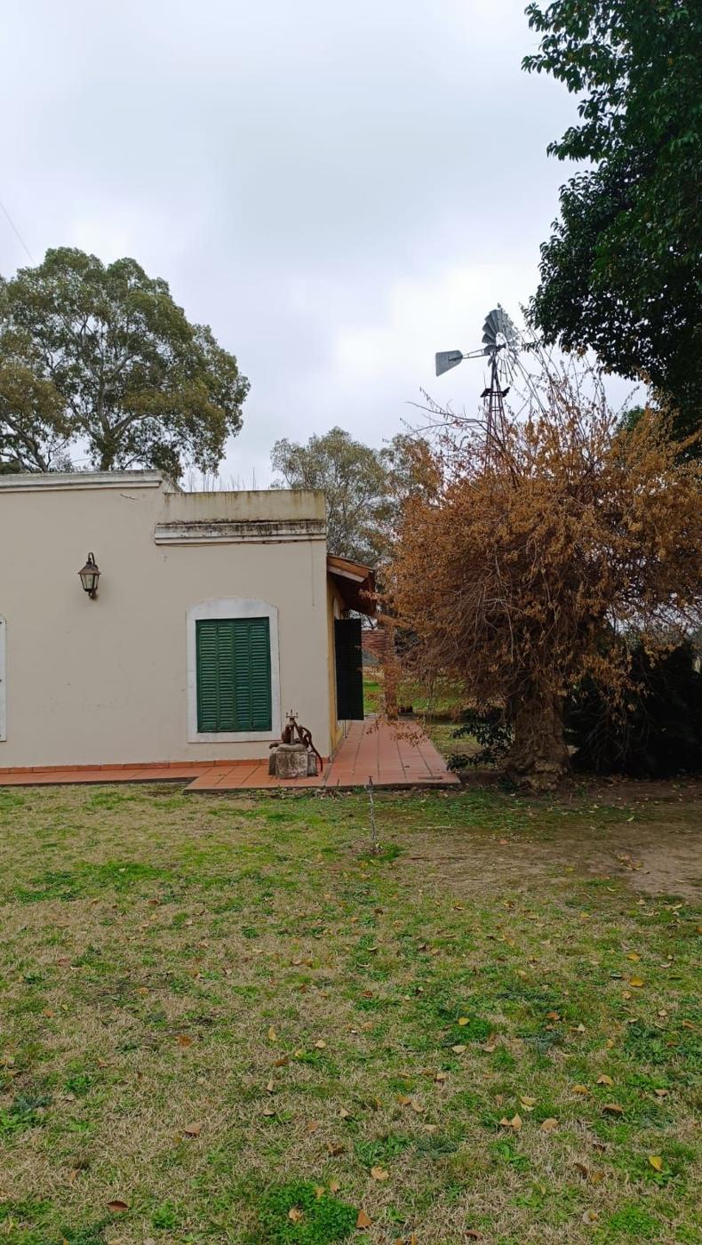 Foto del campo