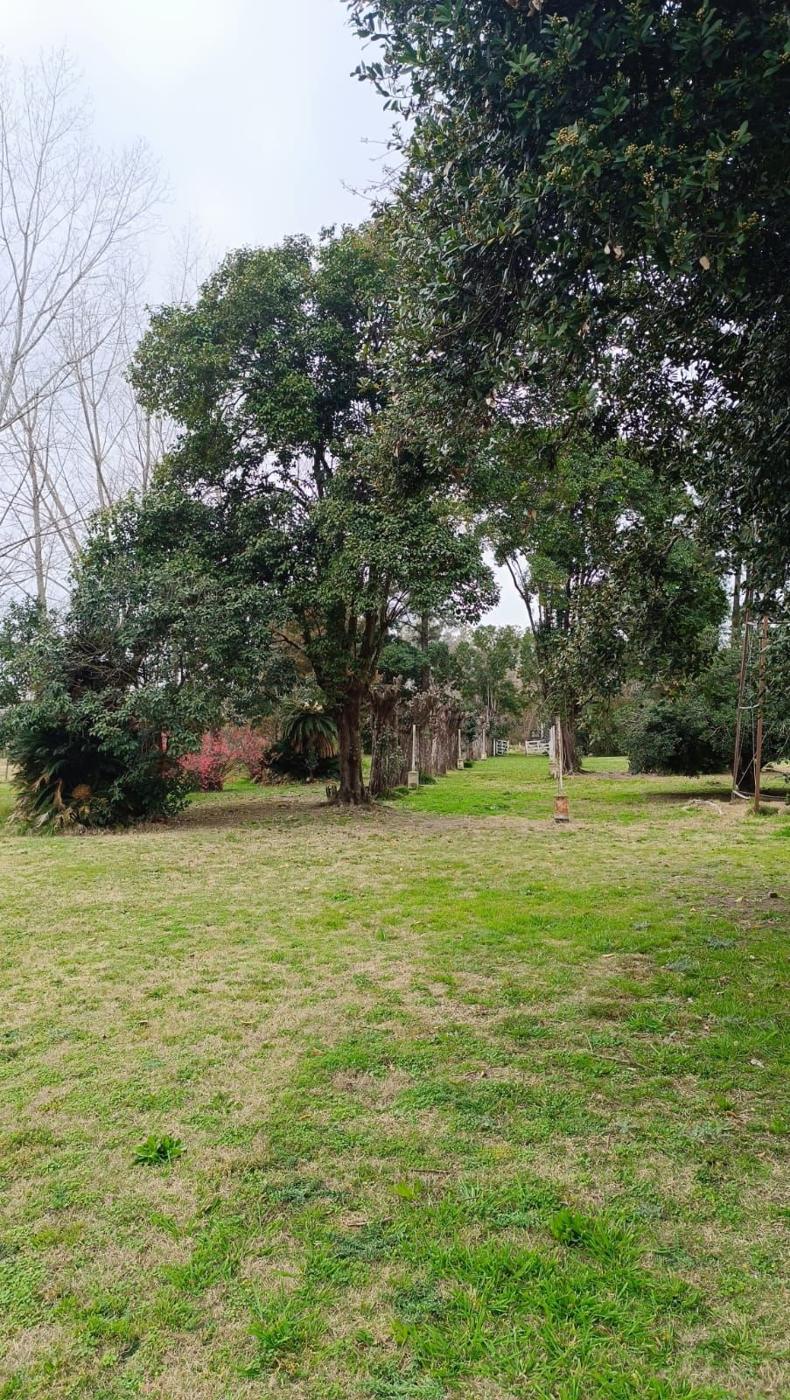 Foto del campo