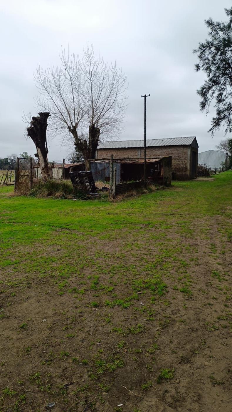 Foto del campo