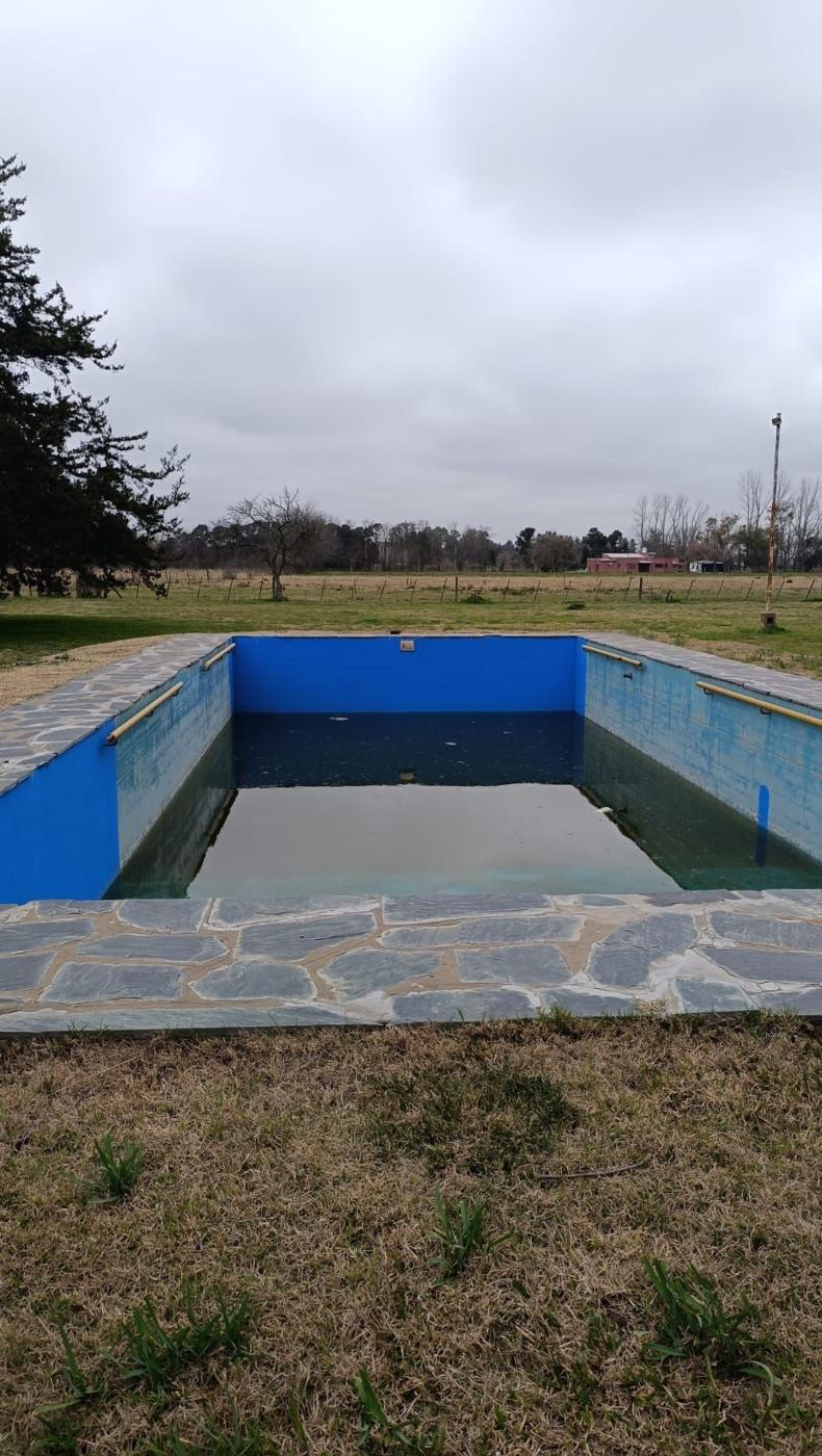 Foto del campo