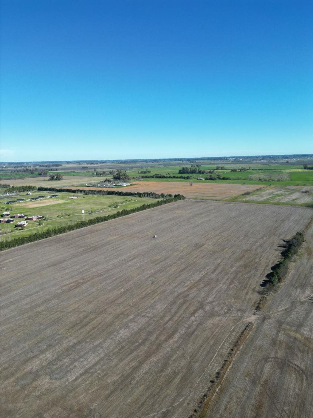 Foto del campo