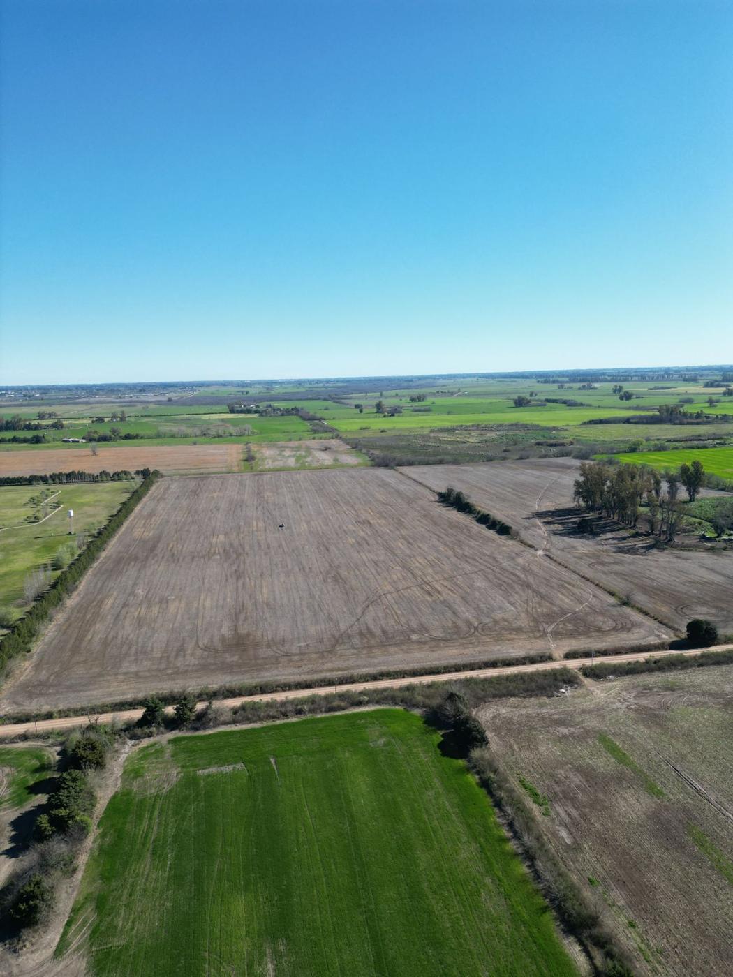 Foto del campo
