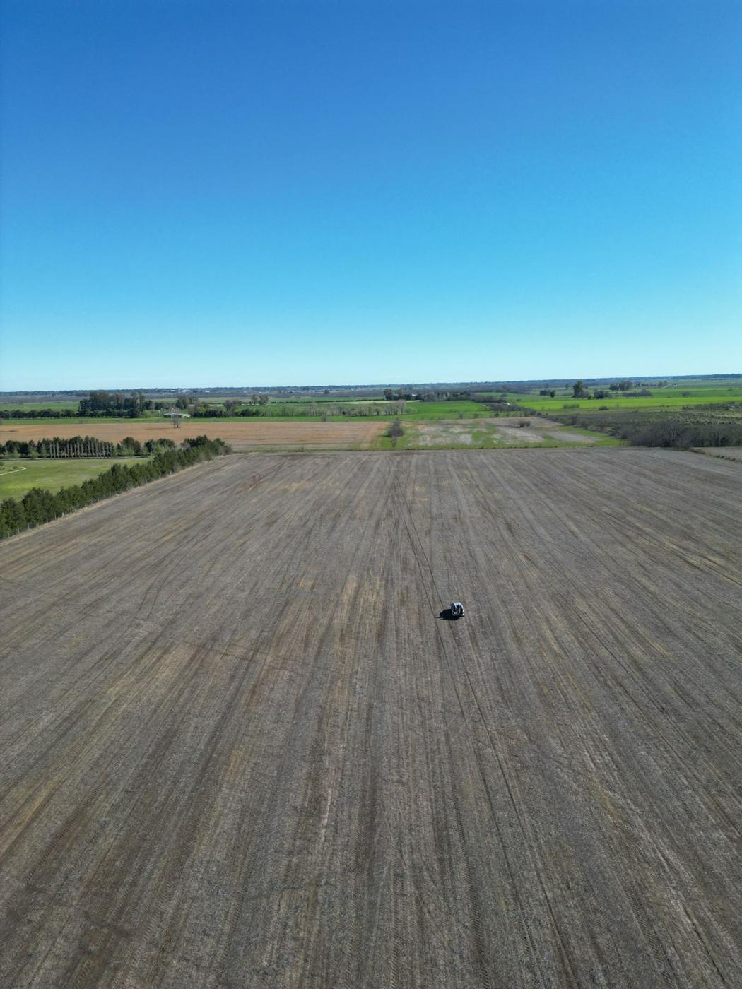 Foto del campo