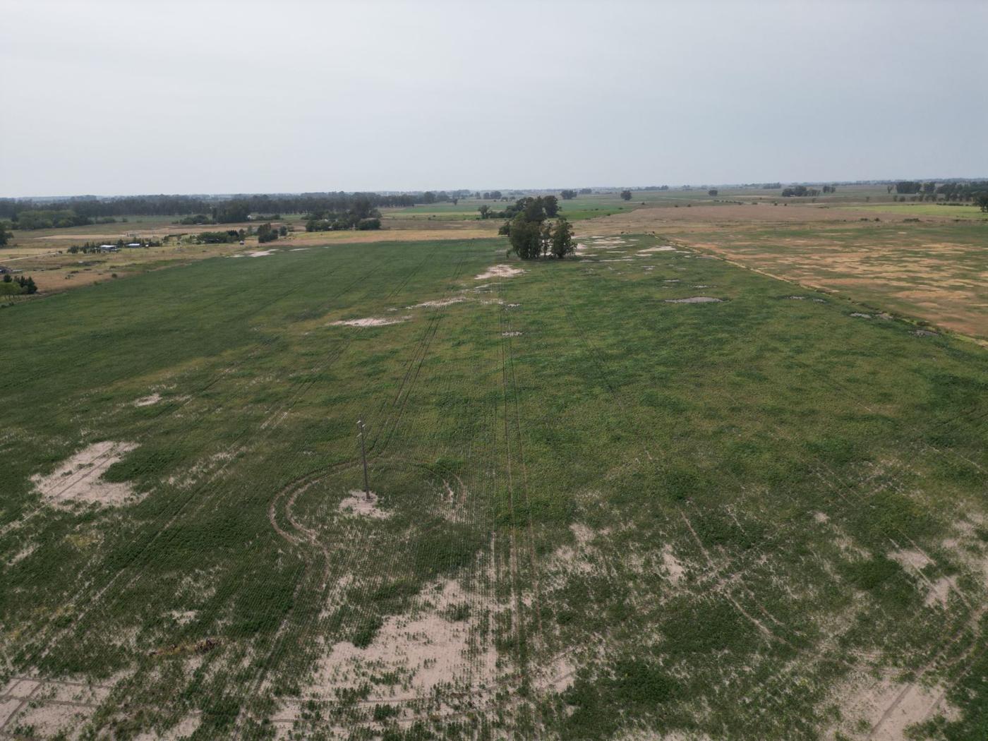 34,5 ha sobre la Ruta 5, km 108