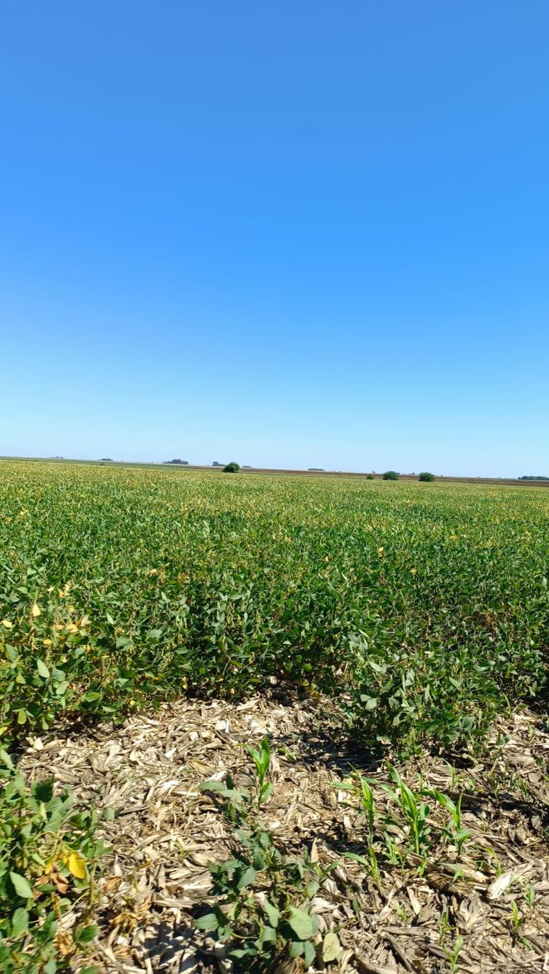 Agricultura