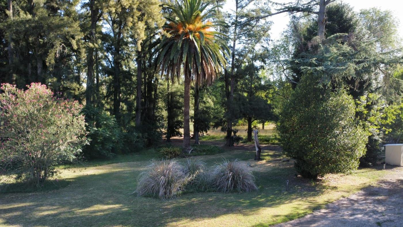 Foto del campo