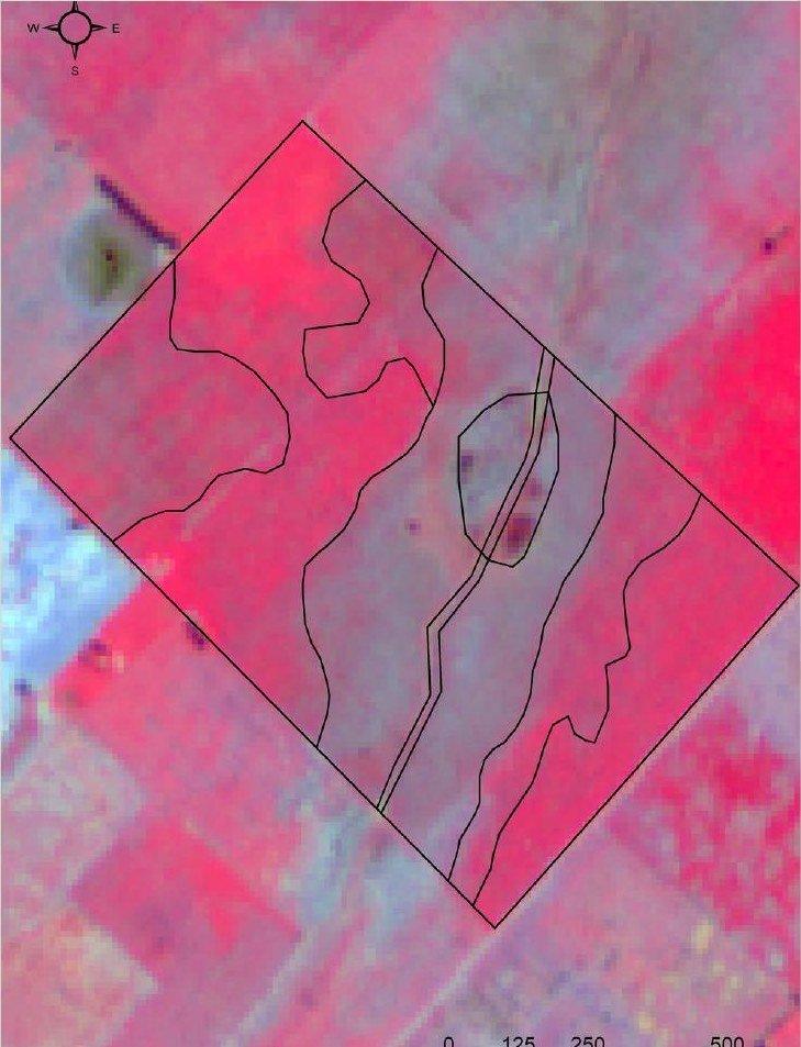 Imagen satelital del campo