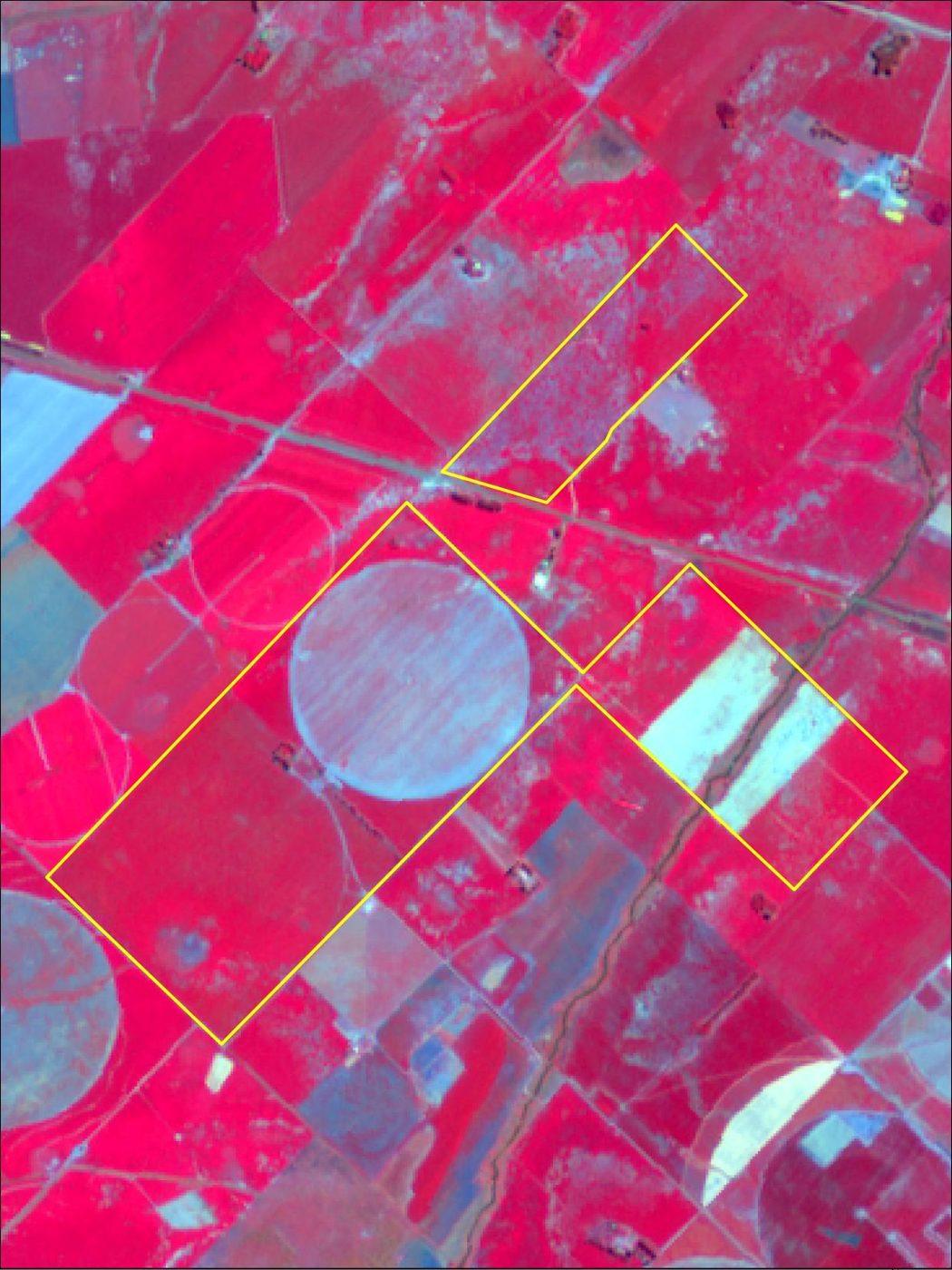 Imagen Sentinel-2 en falso color del campo de Salto